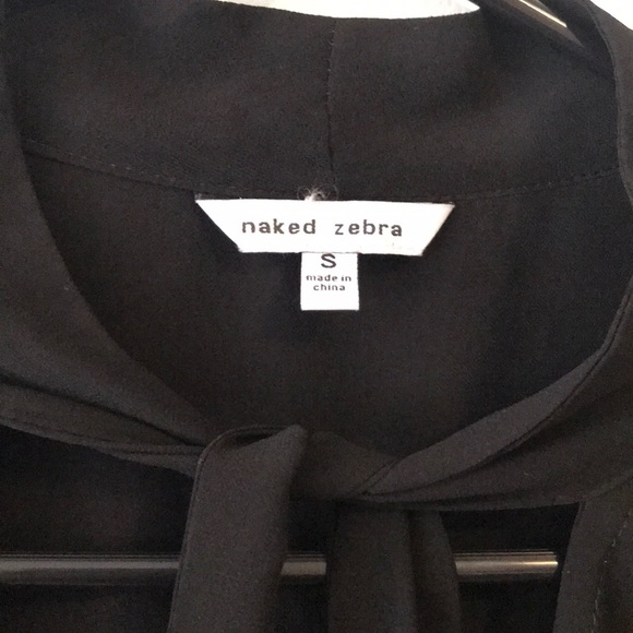 Sheer Blouse - Picture 2 of 5